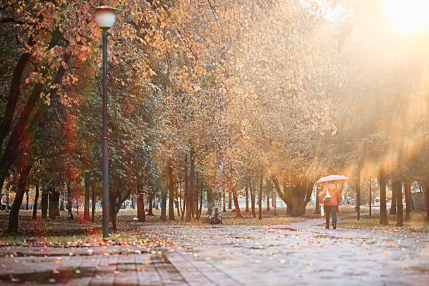 podzimní déšť v parku - Fotografie, Obrázek