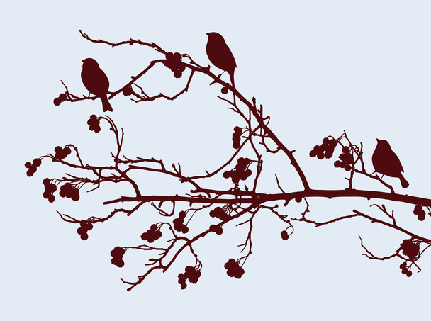 Silhouettes of sparrows sitting on a branch of a fruit tree - Διάνυσμα, εικόνα