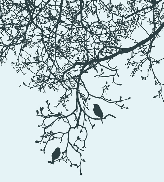 De vogels silhouetten op de boomtakken met knoppen - Vector, afbeelding