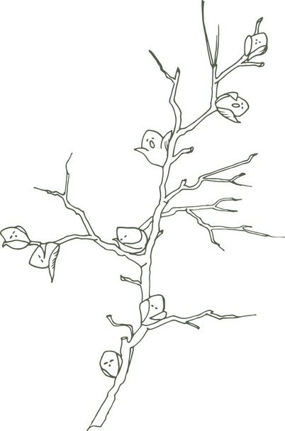 木の枝は、冬の睡眠から目を覚ます葉の春の芽が散らばっています - ベクター画像