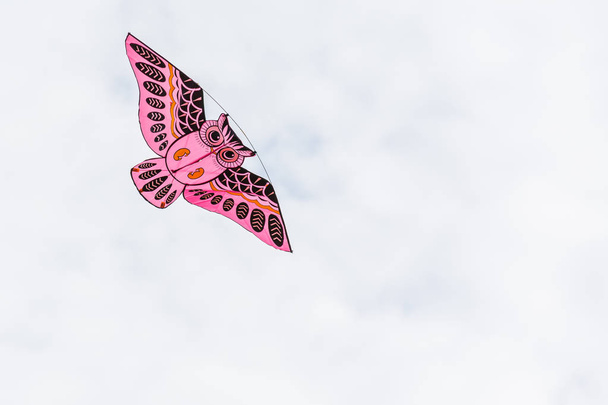 Beautiful owl shaped kite hovers in the sky. - Фото, зображення