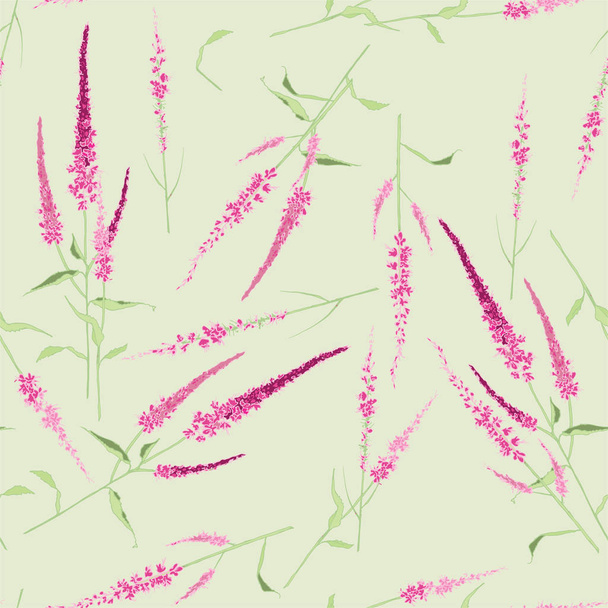 Pink Flower Veronica. Garden or field flower with a variety of colors. Inflorescence of spikelet - Vector, Imagen
