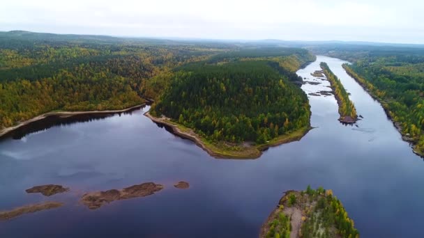 Drone beelden over rivier en bos - Video