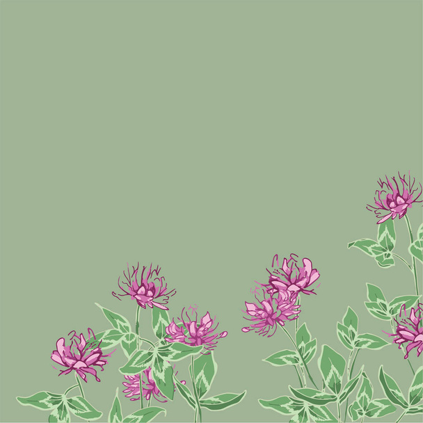 Blooming pink clover. Wildflowers with motley leaves.   - Вектор,изображение