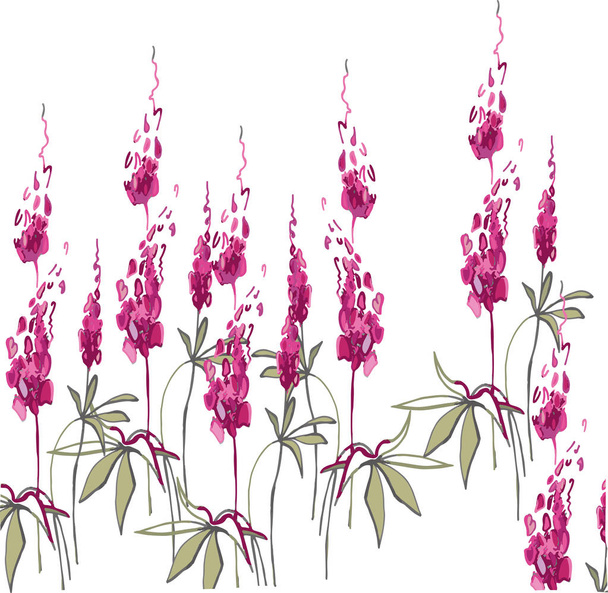 Sketch of pink wildflowers - Lupinus, vector illustration - Вектор,изображение