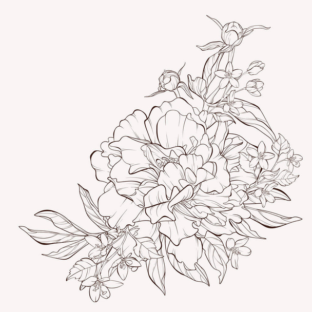 Vázlat Floral Botanis gyűjtemény. Vektor pünkösdi rózsa virág izolált fehér háttér. - Vektor, kép