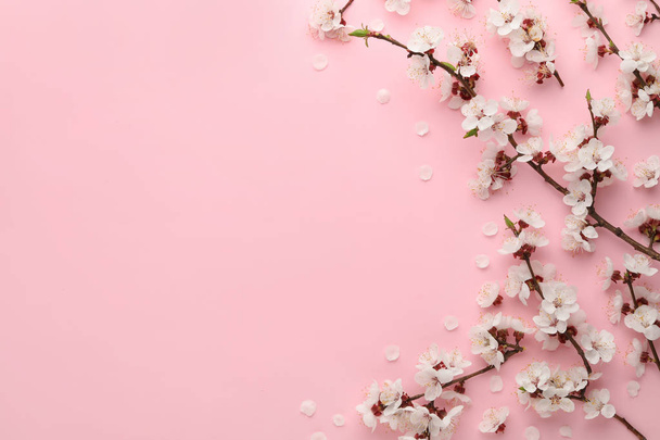 Beautiful fresh spring flowers on color background, top view with space for text - Foto, immagini