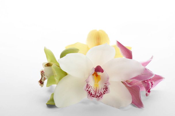 Beautiful tropical orchid flowers on white background - Foto, afbeelding
