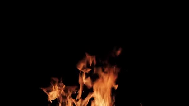 Valódi tűz elszigetelt fekete háttér - Felvétel, videó