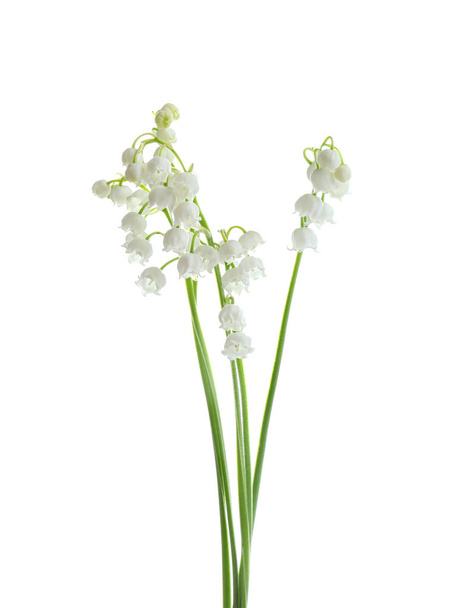 Beautiful fragrant lily of the valley flowers on white background - Fotografie, Obrázek