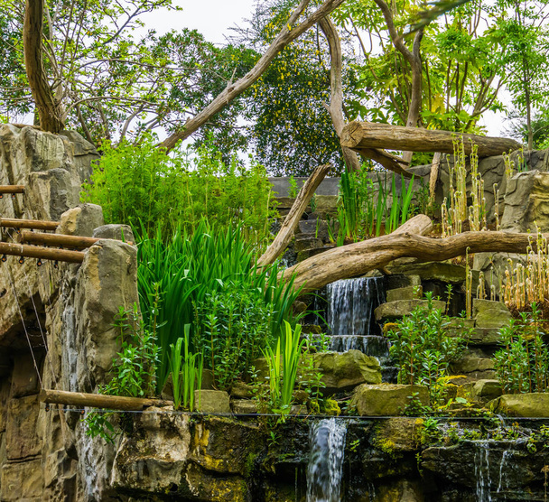 tropical looking waterfall with many plants, exotic garden architecture - Photo, Image