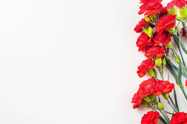 Border made of red carnations isolated on white background with copy space for mock up - 写真・画像