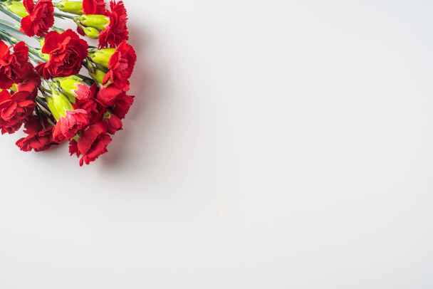 Bouquet of red carnations isolated on white background with copy space - Фото, зображення