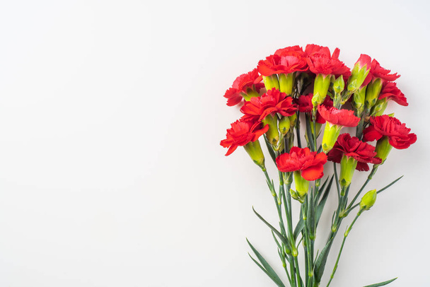 Bouquet of red carnations isolated on white background with copy space - Фото, изображение