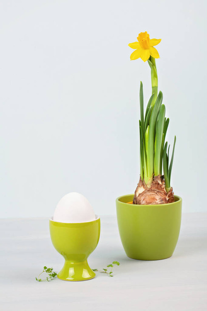 Velikonoční složení s květinami a vejci - Fotografie, Obrázek