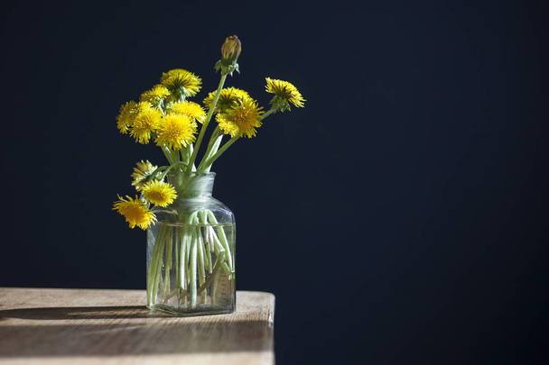 bouquet of yellow dandelions in a glass transparent jar on a wooden table against the background of a dark blue wall. - Photo, image