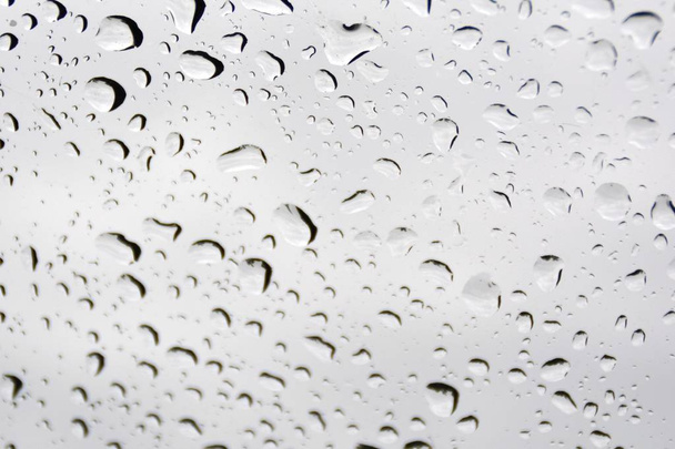 Las gotas de agua se acumulan en una envoltura de plástico después de una lluvia y reflejan el sol que brilla después de la lluvia, un juego natural con luz, gotas de lluvia y el sol.
 - Foto, Imagen