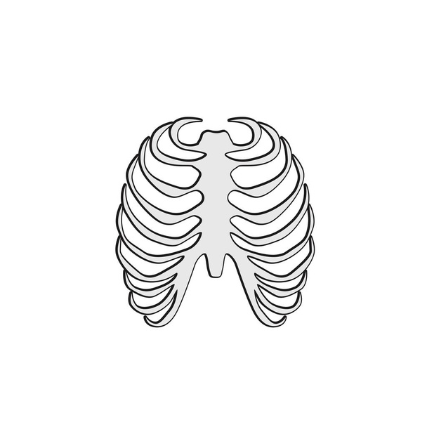 Rib cage icon. Simple illustration of rib cage vector icon for web - Vector, Image