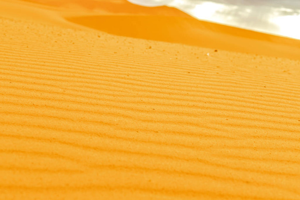 Beautiful sand dunes in the Sahara desert. - Foto, afbeelding