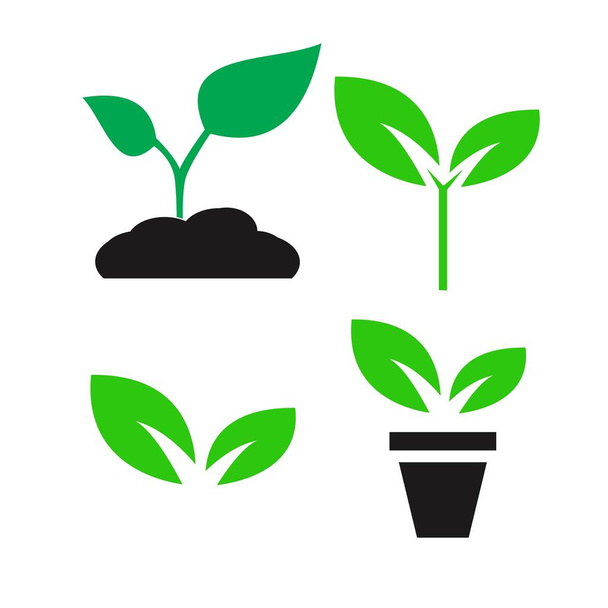 planta verde y dejar iconos de color conjunto vector
 - Vector, Imagen