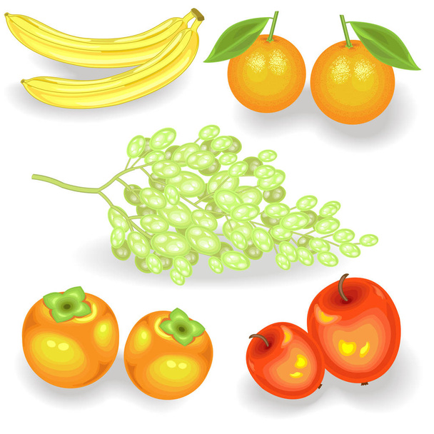Makeita mehukkaita hedelmiä jokaiseen makuun. Tuoreet banaanit, persimonit, appelsiinit, omenat, viinirypäleet. Vitamiinien ja hivenaineiden lähde. Vektoriesimerkki
 - Vektori, kuva