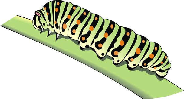 зелений черв'як на траві
 - Вектор, зображення