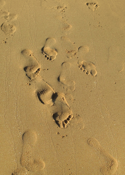 Sea sand with footprints - Photo, Image