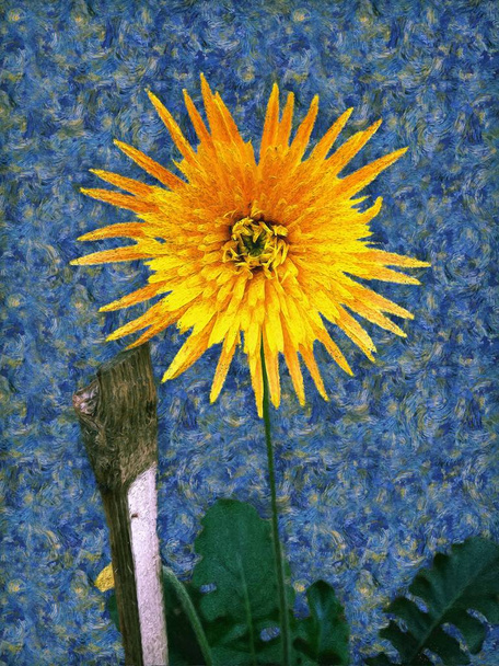 A yellow colour painting of Barberton daisy in the style of post-impressionist painter Vincent van Gogh. Also, known as Gerbera jamesonii, Transvaal daisy and Barbertonse madeliefie. - Photo, Image