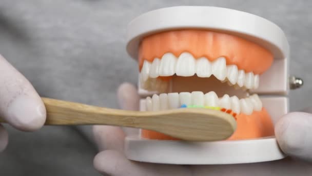 Οδοντίατρος σε λευκά γάντια που διδάσκει πώς να βουρτσίζετε τα δόντια - Πλάνα, βίντεο