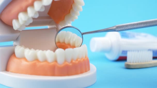Οδοντιατρική γιατρός εξετάζει τη στοματική κοιλότητα - Πλάνα, βίντεο