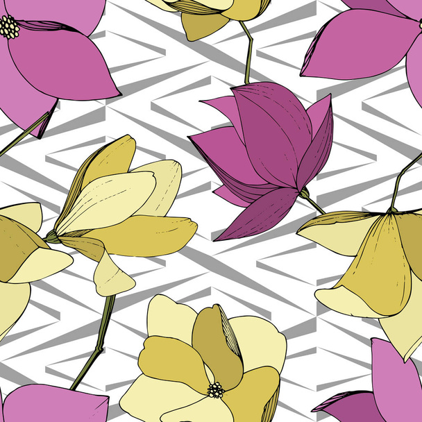 Vector Magnolia flores botânicas florais. Arte de tinta gravada roxa e amarela. Padrão de fundo sem costura
. - Vetor, Imagem