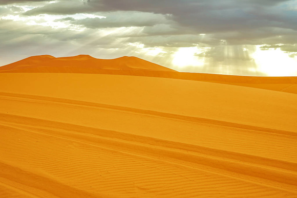 Beautiful sand dunes in the Sahara desert. - Fotoğraf, Görsel