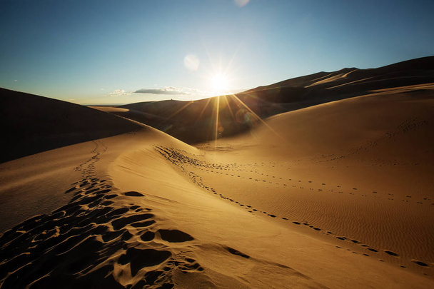 Beautiful sand dunes in the desert - Фото, зображення