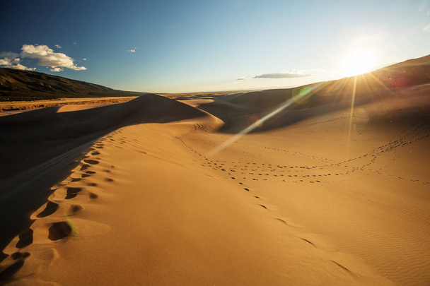 Beautiful sand dunes in the desert - Fotoğraf, Görsel