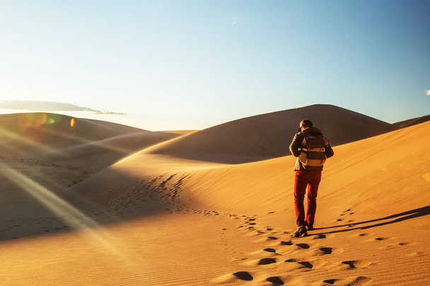 A tourist traveled through the desert - Fotoğraf, Görsel