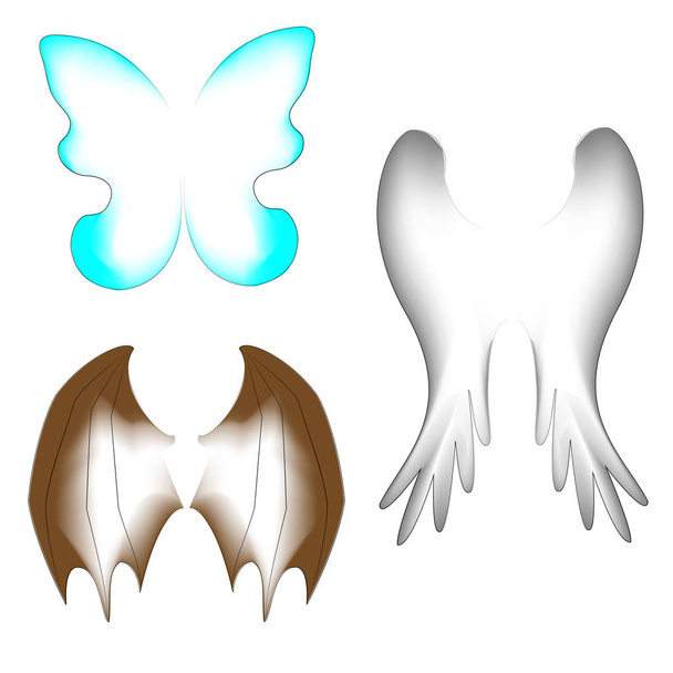Three kinds of wings. Wings of a butterfly, a bird, a dragon. Suitable for a fairy-tale costume, for creating a fantastic image. Vector illustration - Vector, Image