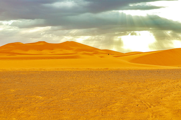 Beautiful sand dunes in the Sahara desert. - Фото, зображення