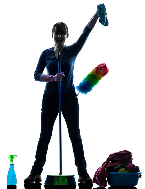 femme femme femme de ménage produits de nettoyage silhouette
 - Photo, image