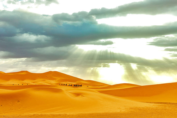 Caravan going through the sand dunes in the Sahara Desert - Фото, зображення