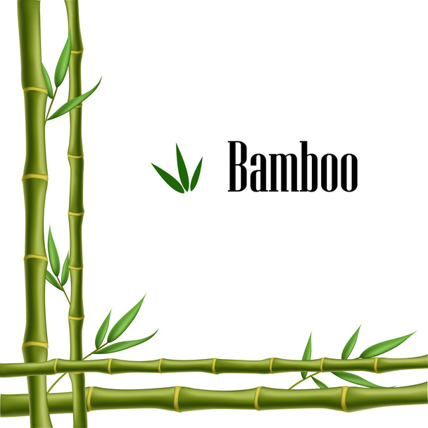 Bamboo frame - Vektor, obrázek