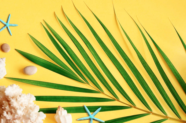 Летние вибрации. Тропический пальмовый лист, ракушки и морская звезда. Плоский, вид сверху
 - Фото, изображение