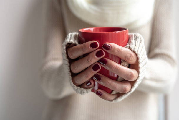 Young woman holds a cup with a hot drink in her hands. - Foto, Imagen