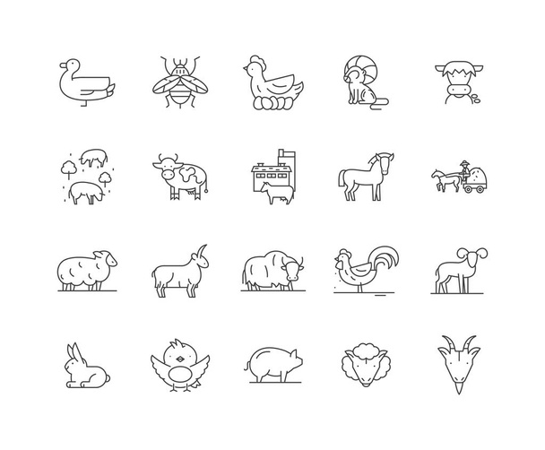 Animali agricoli linea icone, segni, set vettoriale, schema concetto illustrazione
  - Vettoriali, immagini