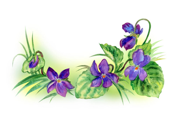 Forest violets in the grass, watercolor painting on a white background. - Foto, Imagen