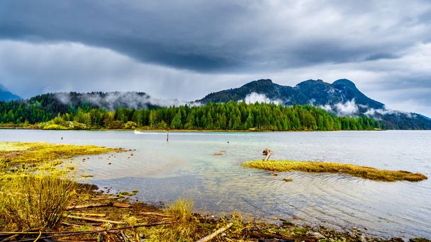 Drijfhout aan de oevers van Pitt Lake onder een donkere bewolkte hemel met regen wolken opknoping rond de bergen van de kust bergketen in de Fraser Valley van British Columbia, Canada - Foto, afbeelding