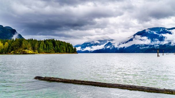 Troncos flotando en Pitt Lake bajo un cielo nublado oscuro con nubes de lluvia colgando alrededor de las Montañas de la Cordillera de la Costa en el Valle Fraser de Columbia Británica, Canadá
 - Foto, imagen