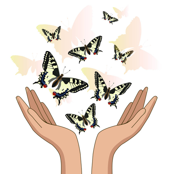 Hands, let go of yellow beautiful butterflies. Isolate on white background. Vector illustration - Vector, Image