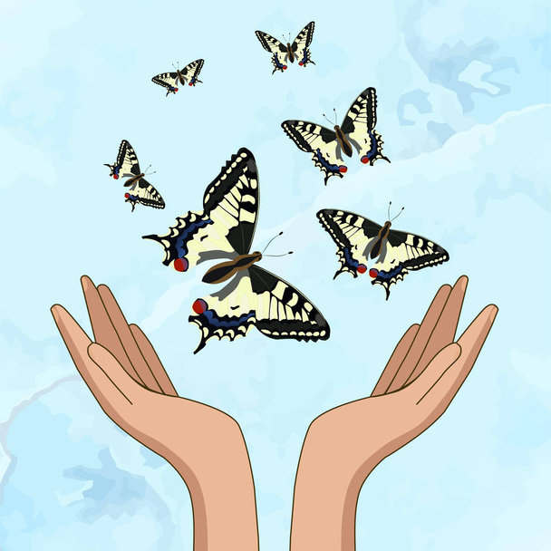 Las manos liberan hermosas mariposas amarillas. Sobre un fondo azul. Ilustración vectorial
 - Vector, imagen
