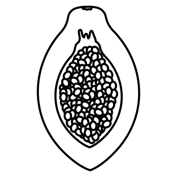 φρέσκια παπάγια εξωτικά φρούτα φορέα απεικόνιση σχεδιασμού - Διάνυσμα, εικόνα