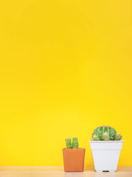 Cactus en maceta sobre mesa de madera con pared amarilla
. - Foto, Imagen